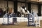 Samantha Wiseman claims a commanding victory in the SEIB Winter Novice Championship Qualifier at Morris Equestrian Centre